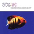 808 STATE  - 808:90 For Sale